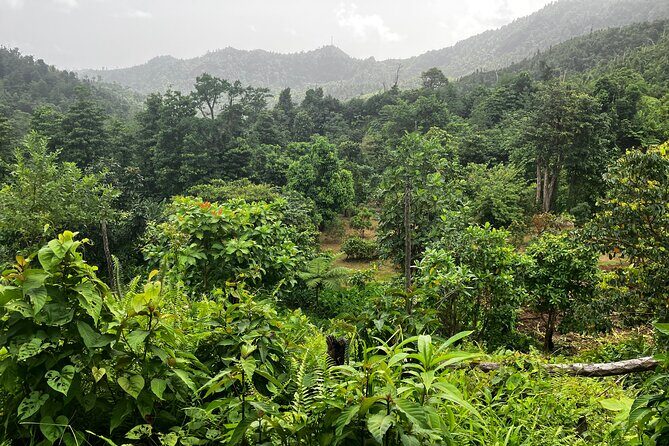 Secret Pool Hike Along the Kalinago Canoe Trail - Frequently Asked Questions