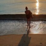 Secret Sydney: Hidden Beaches and Gardens - The Practical Side: What You Need to Know