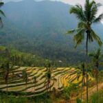 Sekumpul Bali Waterfall Tour - Final Thoughts: Is It Worth It?