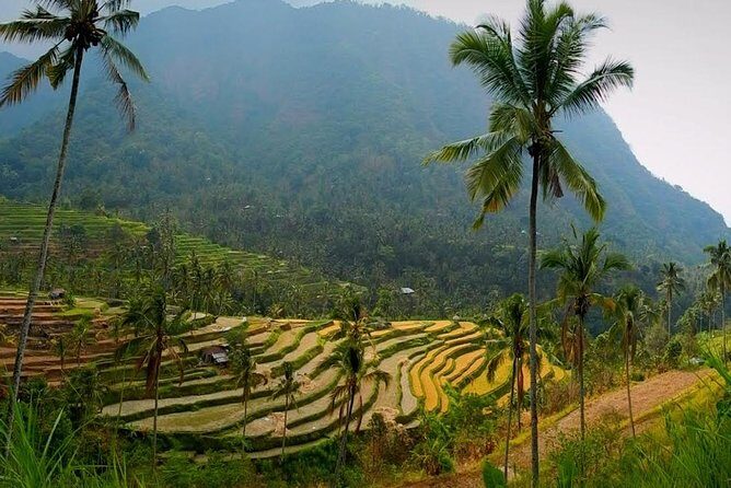 Sekumpul Bali Waterfall Tour - Final Thoughts: Is It Worth It?