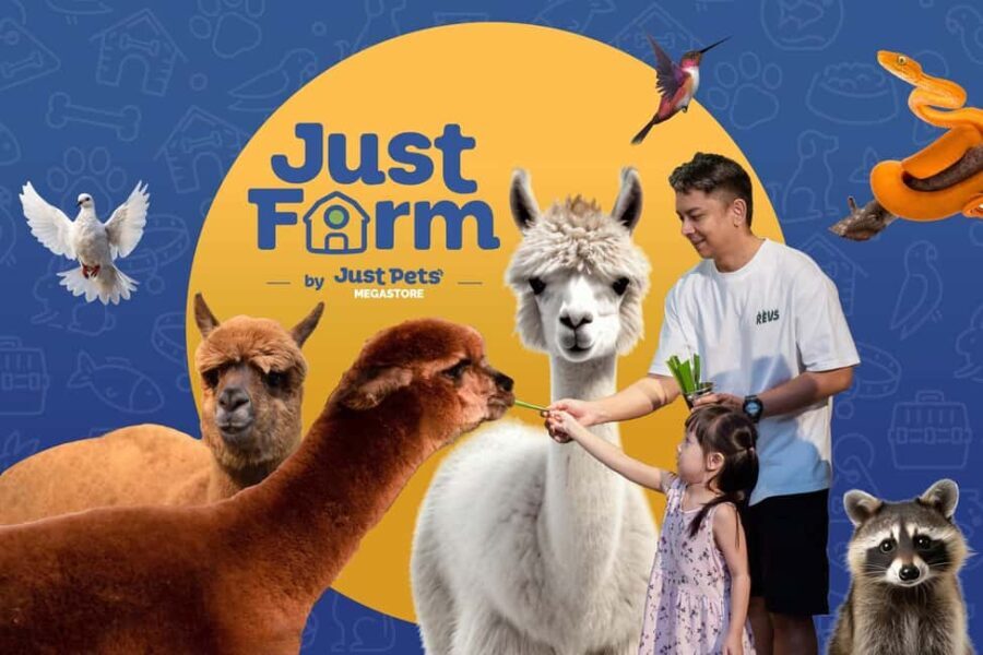 Selangor : Just Farm at Just Pets Megastore Ticket - What to Expect During Your Visit