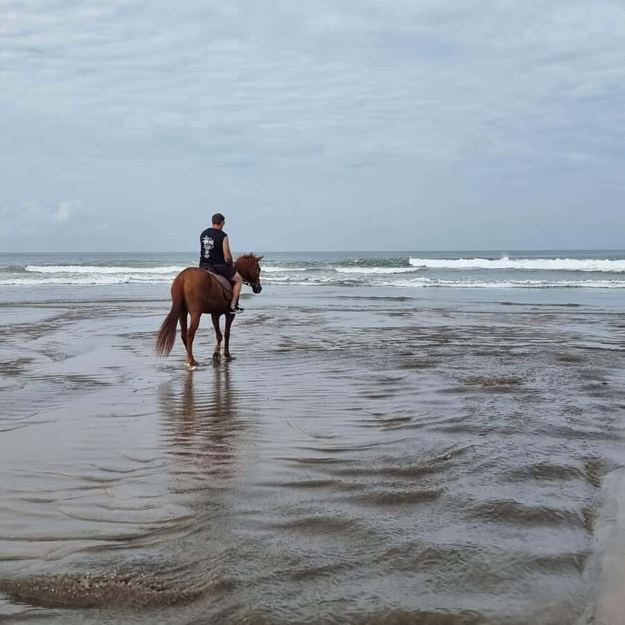 Seminyak Beach Horse Riding Experience - Who Will Love This Experience?