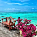 Semporna 3-Islands Day Tour: Snorkeling & Photography&Lunch - The Practicalities: What You Need to Know