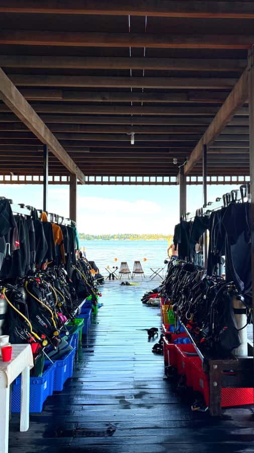 Semporna: Dive Buwan Reef at Night with Dinner & Transfer - An In-Depth Look at the Semporna Night Dive Tour