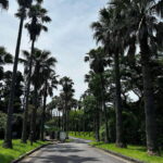 Seogwipo Jungmun Area Walking Tour - Starting Point at Yeomiji Botanical Garden