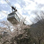 Seoraksan and Cherry Blossom Lake 1 day trip from Seoul - The Itinerary Breakdown