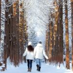 Seoraksan National Park & Nami Island - Authentic Experiences Highlighted by Reviewers