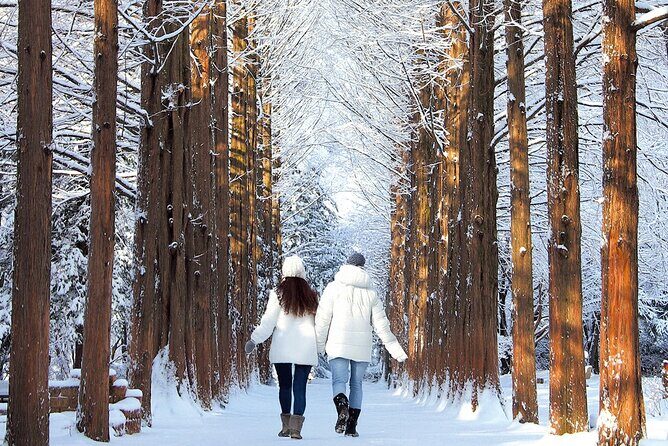 Seoraksan National Park & Nami Island - Authentic Experiences Highlighted by Reviewers