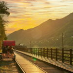 Seoul: Alpaca World & Nami Island (opt. Gangchon Railbike) - Transport, Value, and Practicalities