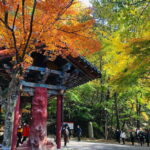 Seoul: Autumn Foliage - Mt. Naejang + Jeonju Hanok Village - Who Should Book This Tour?