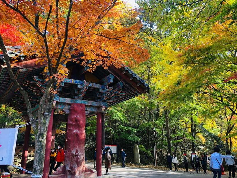 Seoul: Autumn Foliage - Mt. Naejang + Jeonju Hanok Village - Who Should Book This Tour?