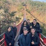 Seoul City Private Tour (Optional : Seoul, DMZ, Nami Island) - The Sum Up