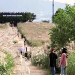 Seoul : Closest Starbucks to DMZ + Hidden Hanok Village Day Tour - What We Think About the Experience