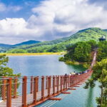 Seoul: DMZ, 3rd Tunnel and Optional Suspension Bridge Tour - Final Thoughts: Who Should Take This Tour?