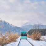 Seoul: Eobi Ice Valley, Alpaca World, Nami Island and More - Pricing and Value