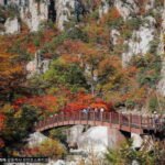 Seoul: Mt.Seorak, Nami Island, No Shopping(+RailBike Option) - What to Expect from the Experience