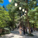 Seoul: Nami Island & Petite France Tour with Railbike Option - Authentic Experiences & Traveler Insights