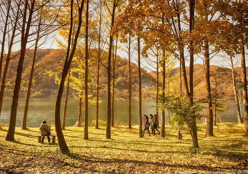 Seoul: Nami+Hanbok+Waterfall(+RailBike or Strawberry)Tour - Detailed Breakdown of Each Stop