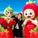 Seoul: Nonsan Strawberry & Cherry Blossom Season Experience - Practical Details & Value