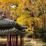 Seoul Private Layover Tour from the Airport with a Local - The Itinerary Breakdown