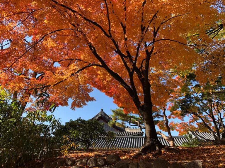 Seoul Private Layover Tour from the Airport with a Local - An In-Depth Look at the Experience