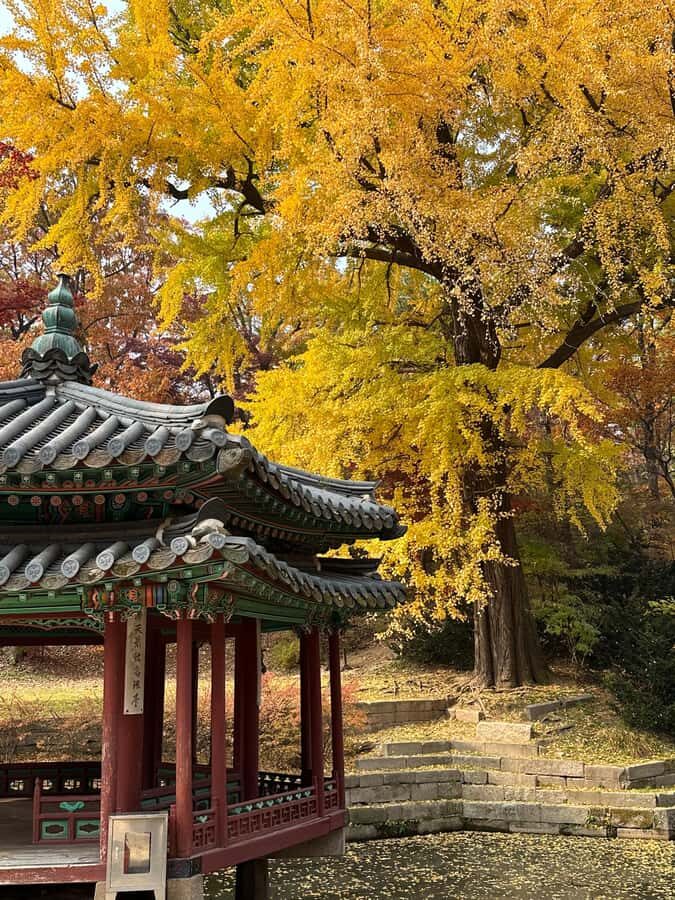 Seoul Private Layover Tour from the Airport with a Local - The Itinerary Breakdown
