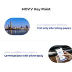 Seoul: Private Shopping Tour - Who Will Love This Tour?