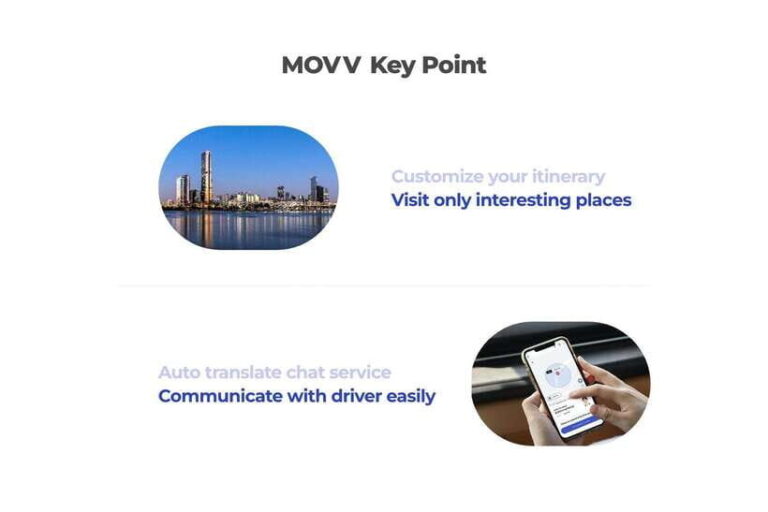 Seoul: Private Shopping Tour - Who Will Love This Tour?