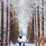 Seoul: Seoraksan National Park & Nami Island - Deep Dive into the Experiences