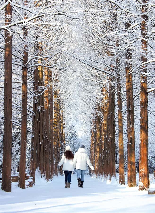 Seoul: Seoraksan National Park & Nami Island - Deep Dive into the Experiences