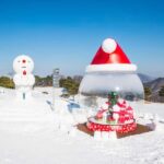 Seoul: Strawberry Picking, Winter Sled with Eobi Ice Valley - Why This Tour Works Well