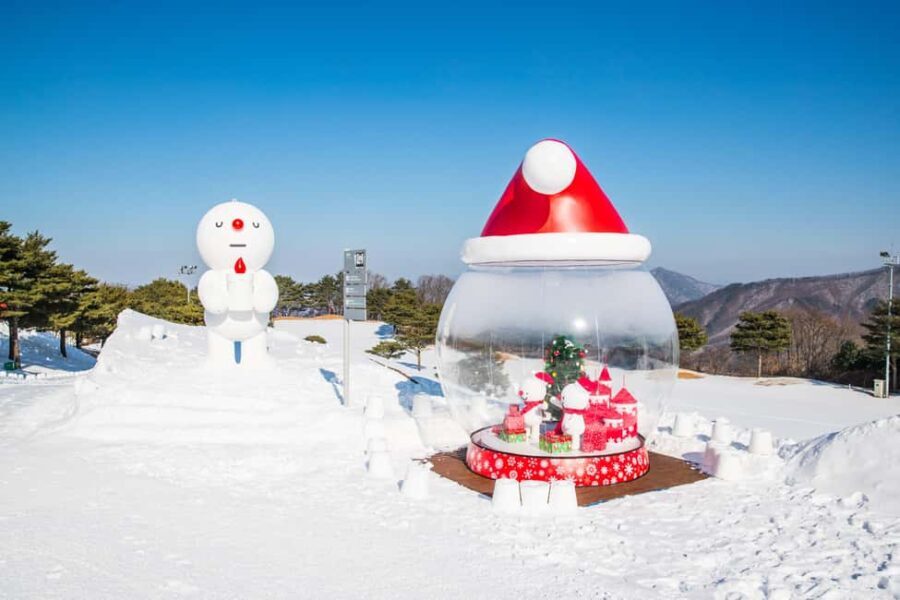 Seoul: Strawberry Picking, Winter Sled with Eobi Ice Valley - Why This Tour Works Well