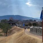 Seoul: Suwon Hwaseong and exotic food Private Chartered Tour - Who Should Consider This Tour?