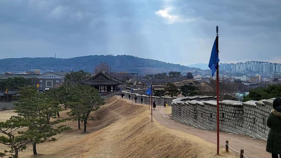 Seoul: Suwon Hwaseong and exotic food Private Chartered Tour - Who Should Consider This Tour?