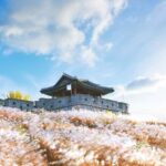 Seoul: Suwon Hwaseong Fortress, Starfield Library & Temple - The Guides and Their Impact