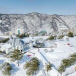 Seoul: Vivaldi Park Tickets for Snowyland Access, Shuttle - Practical Tips for Your Snow Day