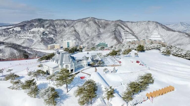 Seoul: Vivaldi Park Tickets for Snowyland Access, Shuttle - Practical Tips for Your Snow Day