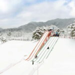 Seoul: Vivaldi Park Winter Ski with Eobi Ice Valley Day Tour - Practical Tips for a Smooth Experience