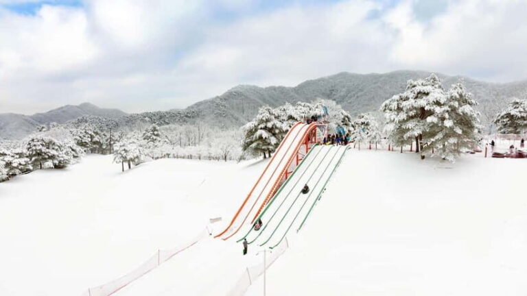 Seoul: Vivaldi Park Winter Ski with Eobi Ice Valley Day Tour - Practical Tips for a Smooth Experience