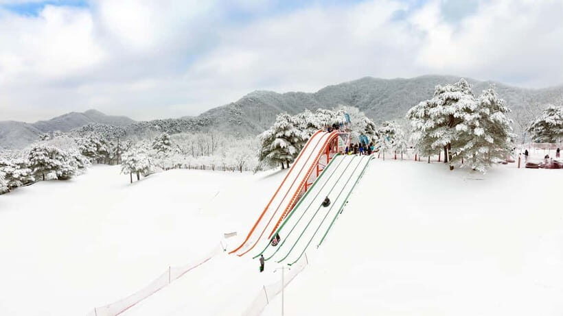 Seoul: Vivaldi Park Winter Ski with Eobi Ice Valley Day Tour - Practical Tips for a Smooth Experience