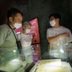 Seoul: War Memorial of Korea Guided Museum Tour - Detailed Breakdown of the Itinerary