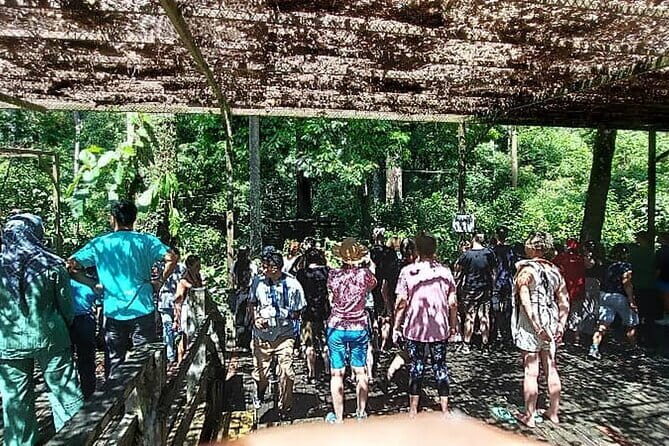 Sepilok Orangutan , SunBear, Proboscis Monkey from Sandakan City - Who Will Love This Experience?