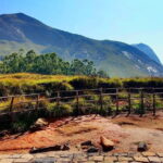 Serene Munnar Retreat: Private Tour from Kochi to the Munnar Hill - The Practicalities: What’s Included and What’s Not