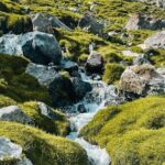 Seven Lakes Tajikistan: All-Inclusive Private Day Tour - What Travelers Say About This Tour