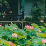 Shanghai: 7-Day Private Tour with Suzhou & Nanjing - Suzhou: China’s Garden City