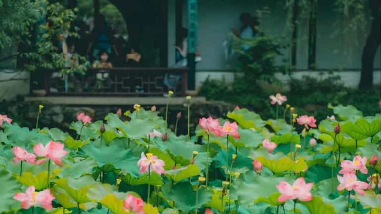 Shanghai: 7-Day Private Tour with Suzhou & Nanjing - Suzhou: China’s Garden City