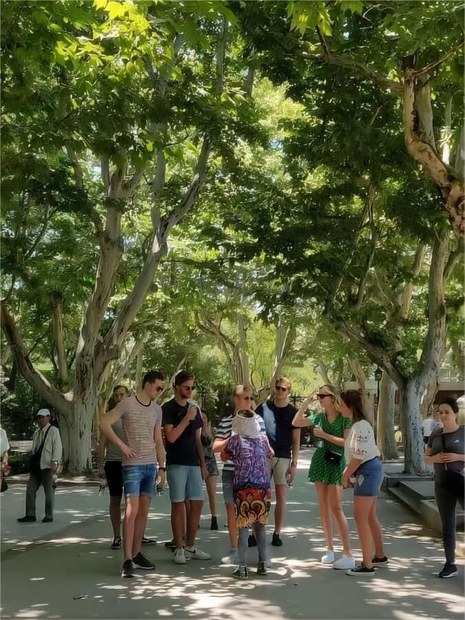 Shanghai: Guided Bike Tour with Baozi Tasting - The Practicalities: What to Expect