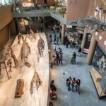 Shanghai: Private Tour of the Shanghai Museum - What Travelers Say: Authentic Insights