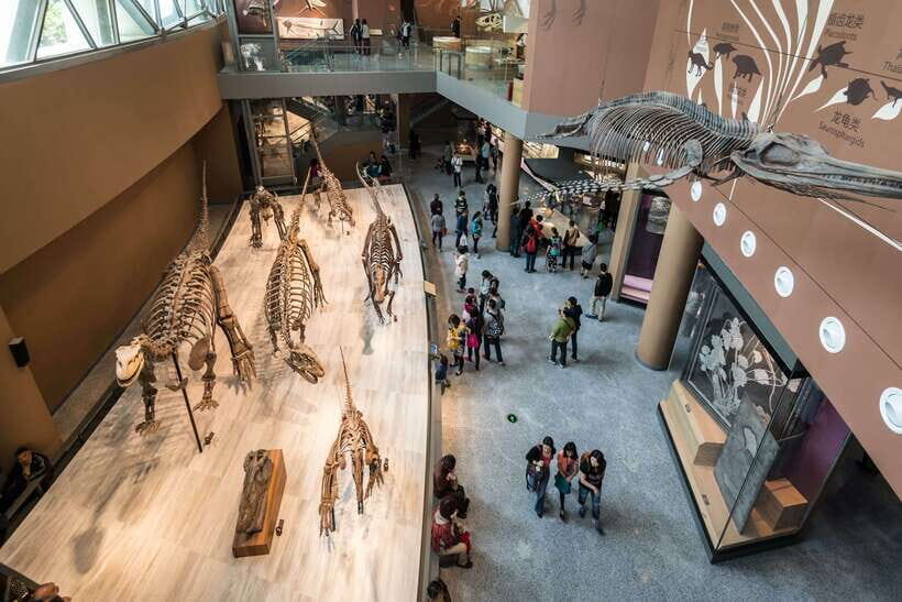 Shanghai: Private Tour of the Shanghai Museum - What Travelers Say: Authentic Insights