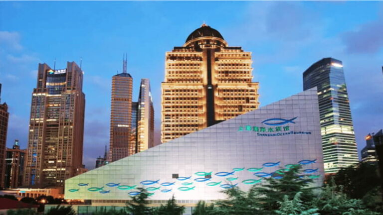 Shanghai: The Marine Wonders at Shanghai Ocean Aquarium - Final thoughts